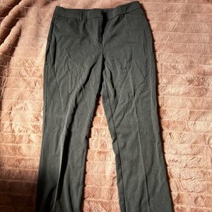 Straight Leg Dress Pant
